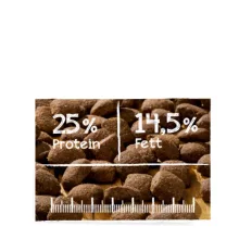 Belcando Adult Active friss hússal 12,5kg száraz kutyatáp