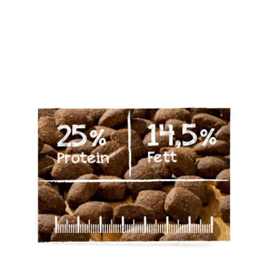 Belcando Adult Active friss hússal 12,5kg száraz kutyatáp