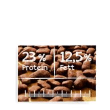 Belcando Adult Lamb&Rice friss hússal 12,5kg kutyatáp