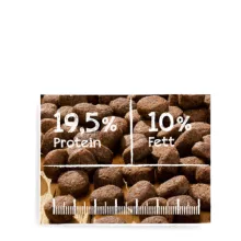 Belcando Senior Sensitive friss hússal 1kg kutyatáp