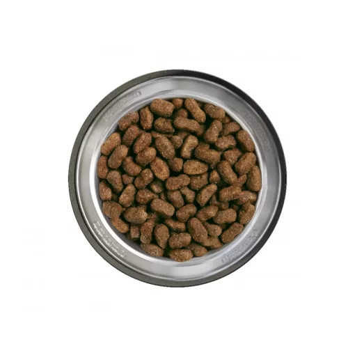 belcando-baseline-young-1kg-szaraz-kutyatap