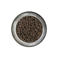 belcando-baseline-explorer-12-5kg-szaraz-kutyatap