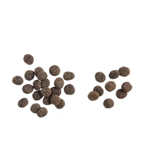 belcando-baseline-explorer-12-5kg-szaraz-kutyatap