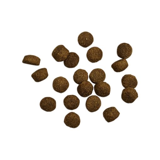 belcando-baseline-oldie-light-12-5kg-szaraz-kutyatap