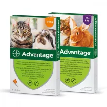 Advantage spot on 4kg feletti macskáknak és nyulaknak 4 x 0,8ml