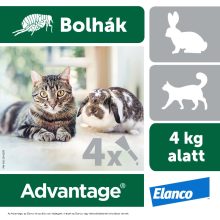 Advantage spot on 4kg alatti macskáknak és nyulaknak 4 x 0,4ml