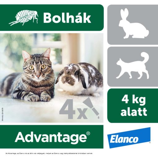 Advantage spot on 4kg alatti macskáknak és nyulaknak 4 x 0,4ml