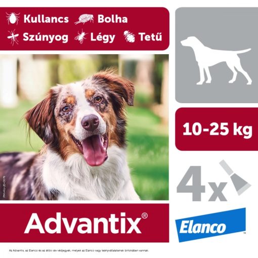 Advantix spot on 10-25kg közötti kutyáknak 4 x 2,5ml