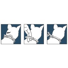 Foresto Kullancs és Bolhanyakörv macskának-8kg alatti kutya