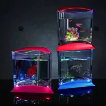 Ista Stílusos Ledes Mini Betta Box-Pink