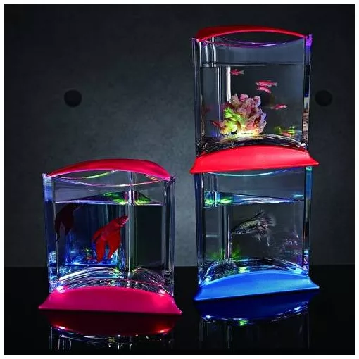 Ista Stílusos Ledes Mini Betta Box-Pink