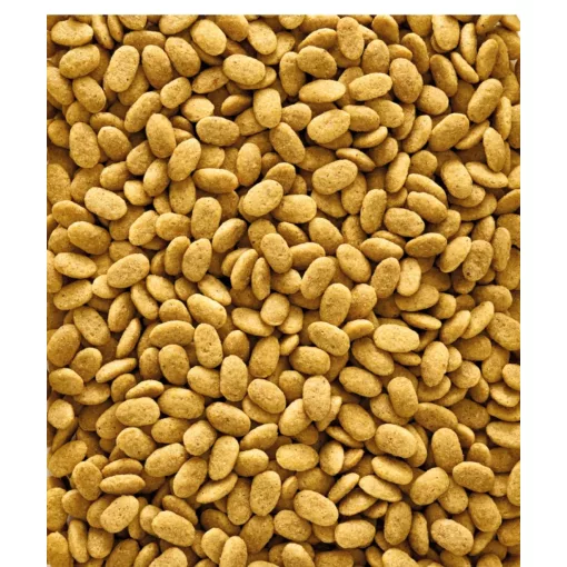 NutriBird P15 Original 1kg Fenntartó pellet almával óriás papagájoknak