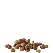 Happy life Adult Salmon 15kg száraz kutyatáp