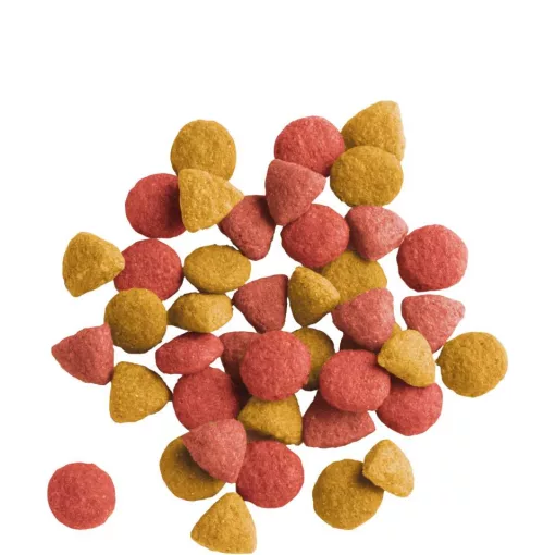 Lara Adult Urinary Care with Chicken 2kg száraz  macskatáp