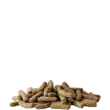 Versele-Laga Complete Cuni Adult Törpenyúl eledel 8kg