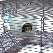 Ferplast Favola Hörcsög-Egér Ketrec