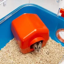 Ferplast Combi 2 Hörcsög Ketrec Tornateremmel