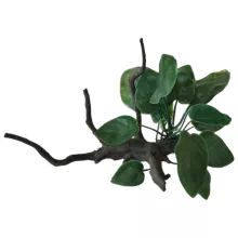 Akváriumi Műnövény 14cm 39123