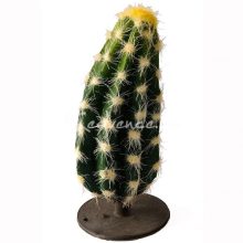 Akváriumi Terráriumi Műnövény 14cm 39129