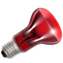 Repti-Zoo Infravörös Melegítő Lámpa Hüllőknek 50w IFL50