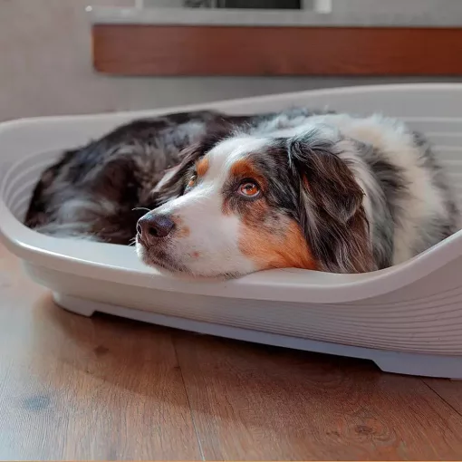 Ferplast Siesta Deluxe 10 Fekete Műanyag Fekhely
