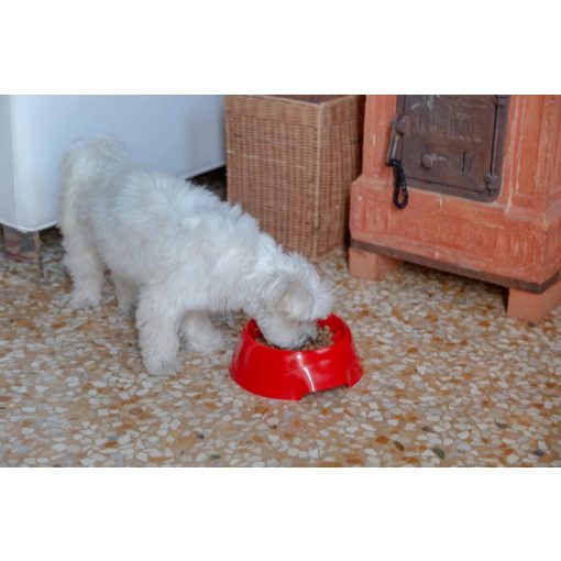 Ferplast Magnus Slow Small habzsolás gátló kutyatál - piros