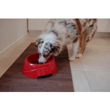 Ferplast Magnus Slow Large habzsolás gátló kutyatál - zöld