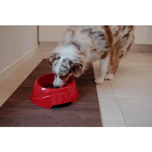 Ferplast Magnus Slow Large habzsolás gátló kutyatál - zöld