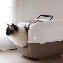 Ferplast Prima Cabrio Macska WC Szénfilteres - kék