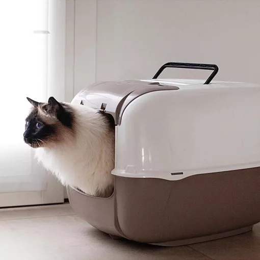 Ferplast Prima Cabrio Macska WC Szénfilteres - kék