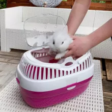 Ferplast Aladino Large rágcsáló szállító box - lila