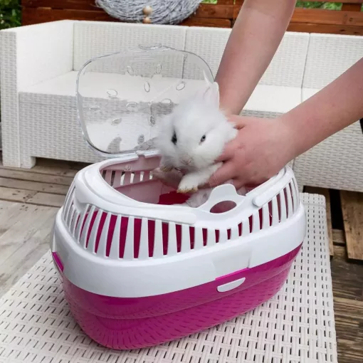 Ferplast Aladino Large rágcsáló szállító box - lila