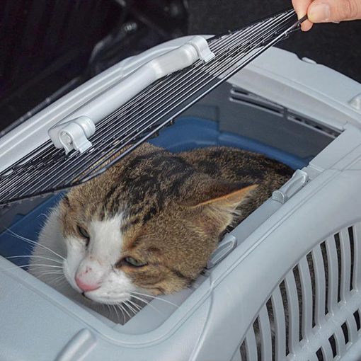 Ferplast Atlas 10 Deluxe Open szállítóbox - szürke