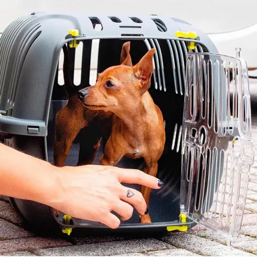 Ferplast Jet 20 szállító box - rózsaszín