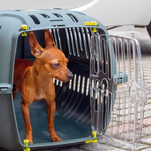 Ferplast Jet 20 szállító box - rózsaszín