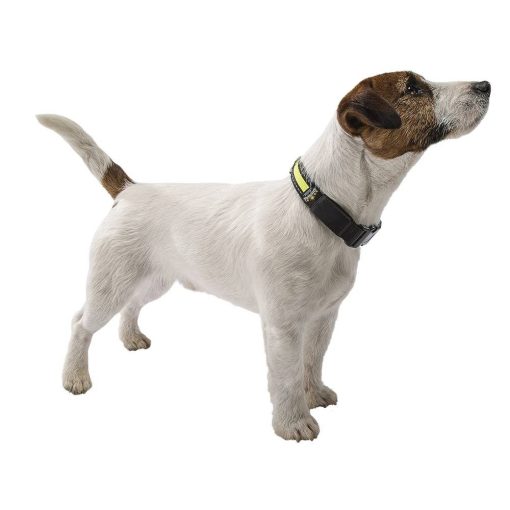 Ferplast Night Collar Medium Világító Led nyakörv