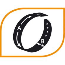 Ferplast Club C20/56 kutya nyakörv Circus Mintás