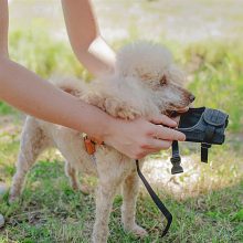 Ferplast Safe SMALL textil szájkosár