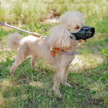 Ferplast Safe SMALL textil szájkosár