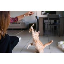 Ferplast PA 4998 cicapeca macskajáték