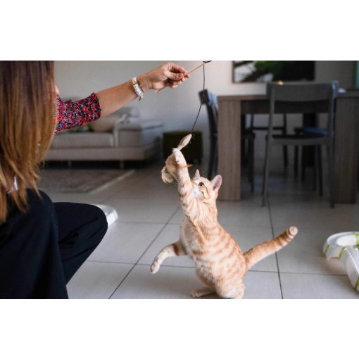 Ferplast PA 4998 cicapeca macskajáték