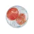 Ferplast Baloon Small 12 cm hörcsöggömb - zöld