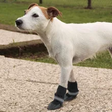 Ferplast Védőcipő-Protective Shoes Large