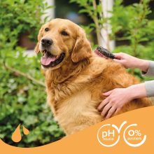 Beaphar Sampon Barna Szőrű kutyának 250ml