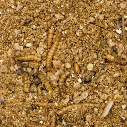 Beaphar Hedgehog food teljesértékű eledel sünöknek 1kg