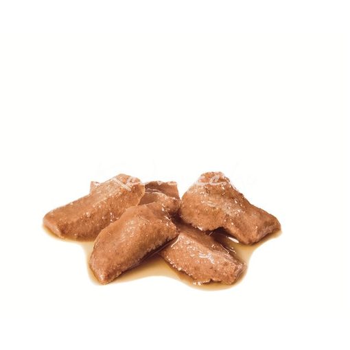 Royal Canin Maine Coon adult 85g nedves macskatáp