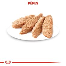 Royal Canin KITTEN LOAF 12x85g nedves macskaeledel