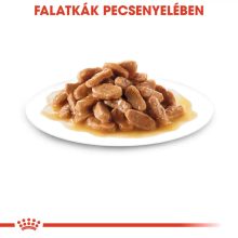 Royal Canin Medium Puppy 10x140g nedves kutyatáp