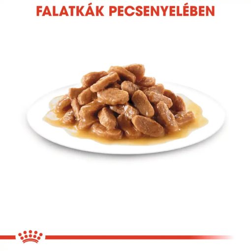 Royal Canin Medium Puppy 10x140g nedves kutyatáp