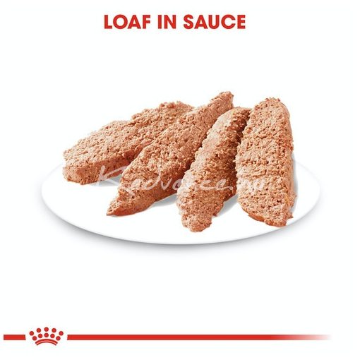 Royal Canin DIGESTIVE CARE 85g Nedves kutyaeledel